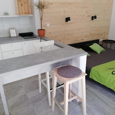 شقة Studio Apartman Fleiss ساموبور المظهر الخارجي الصورة