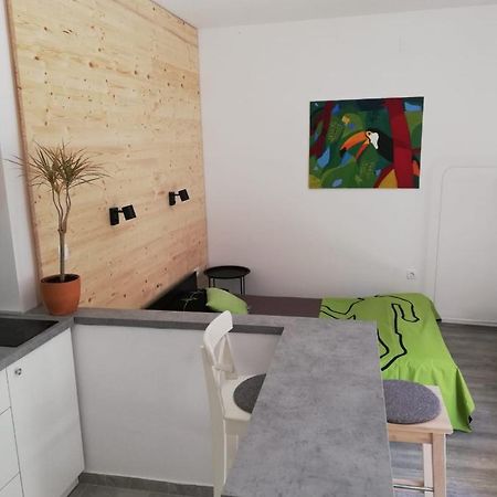شقة Studio Apartman Fleiss ساموبور المظهر الخارجي الصورة