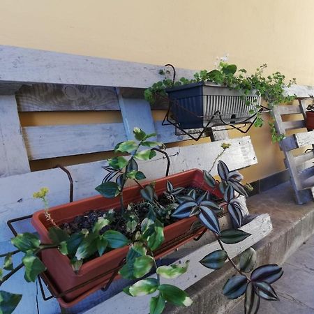 شقة Studio Apartman Fleiss ساموبور المظهر الخارجي الصورة