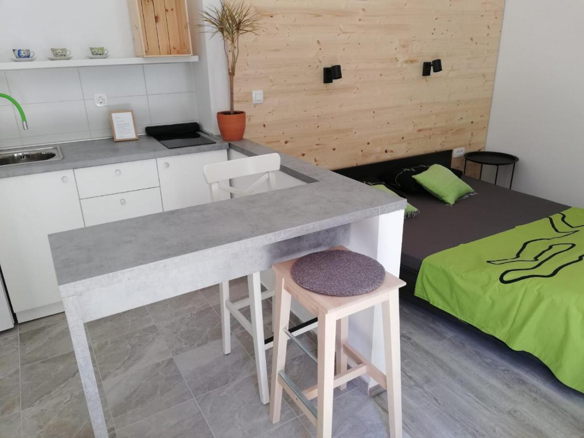 شقة Studio Apartman Fleiss ساموبور المظهر الخارجي الصورة
