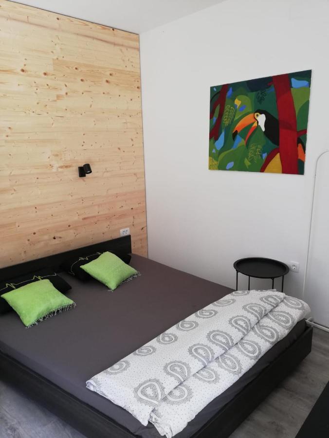 شقة Studio Apartman Fleiss ساموبور المظهر الخارجي الصورة