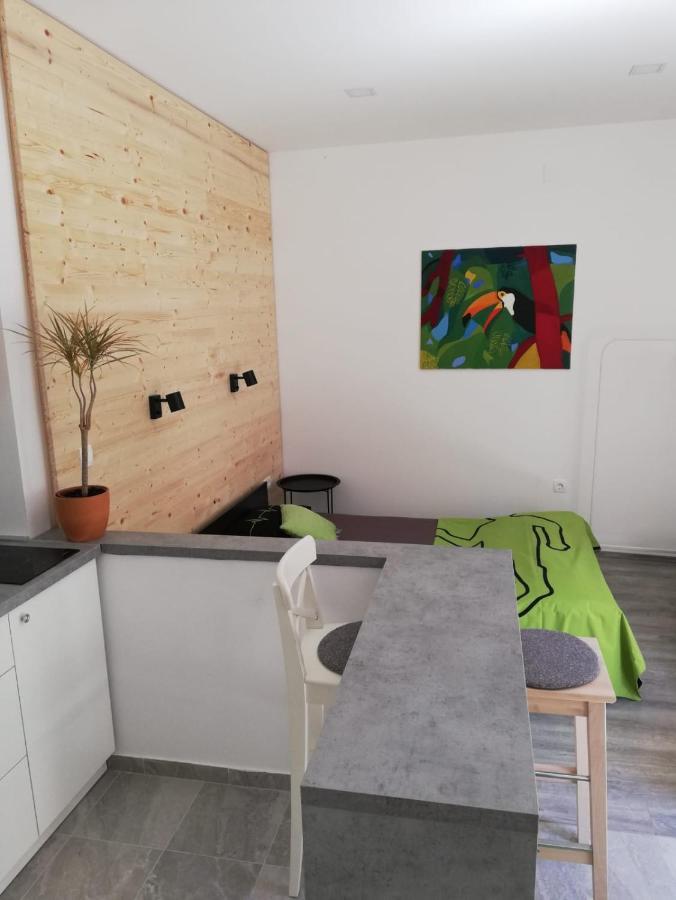 شقة Studio Apartman Fleiss ساموبور المظهر الخارجي الصورة