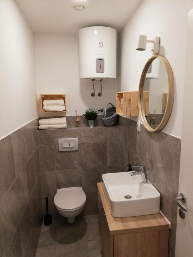 شقة Studio Apartman Fleiss ساموبور المظهر الخارجي الصورة