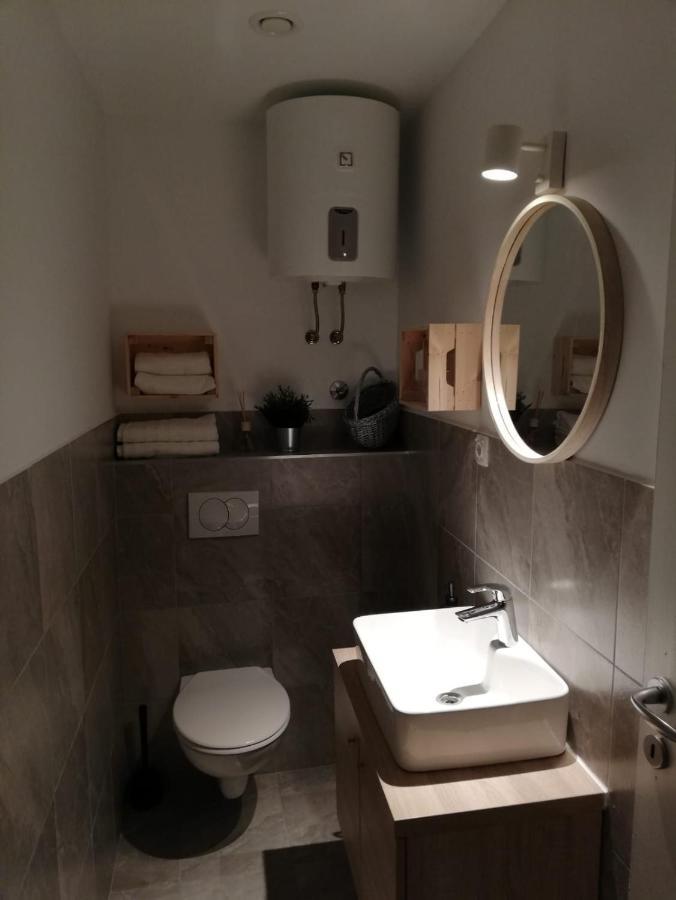 شقة Studio Apartman Fleiss ساموبور المظهر الخارجي الصورة