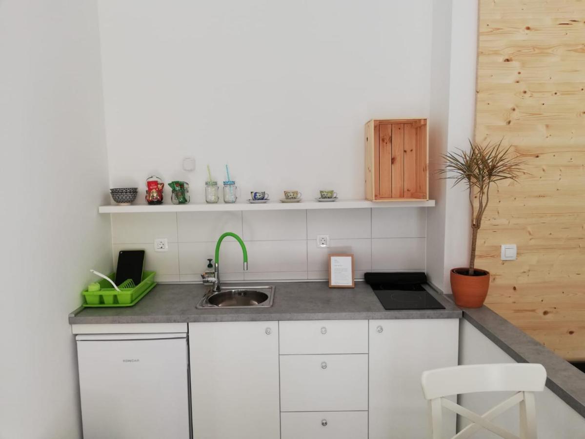 شقة Studio Apartman Fleiss ساموبور المظهر الخارجي الصورة